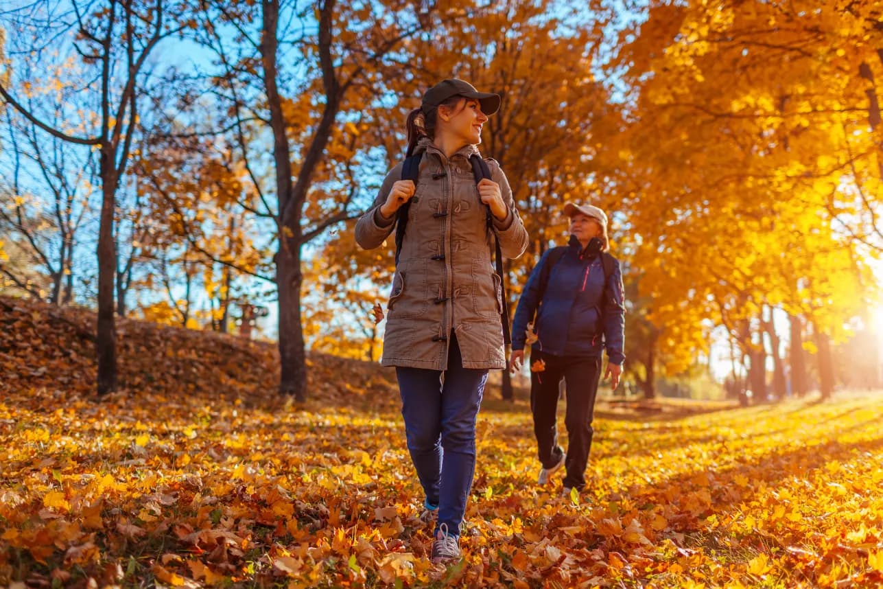 Hikers walking in autumn forest Hikers walking in autumn forest